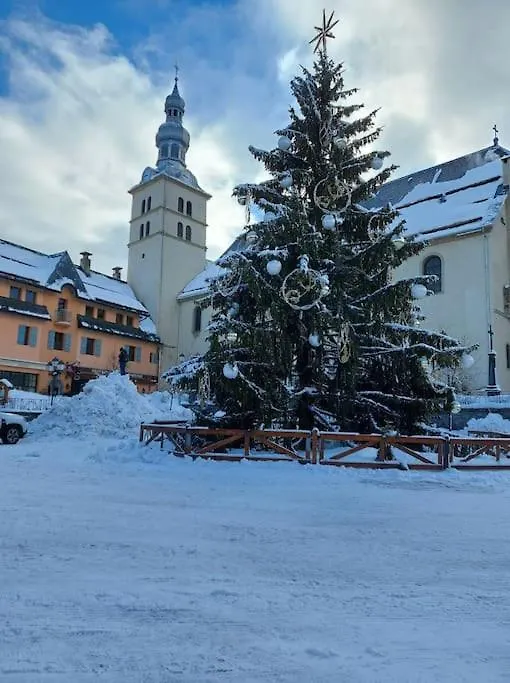 Logement A Megeve Avec Jardin