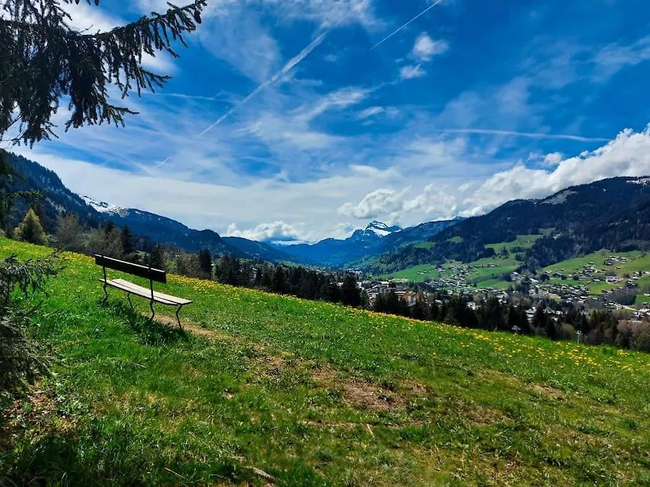 Logement A Megeve Avec Jardin