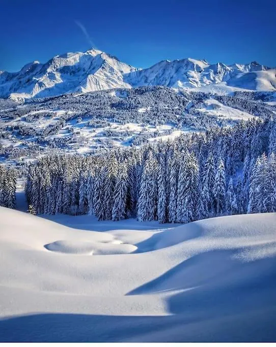 Apartment Logement A Megeve Avec Jardin